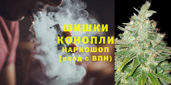 apvp Алзамай