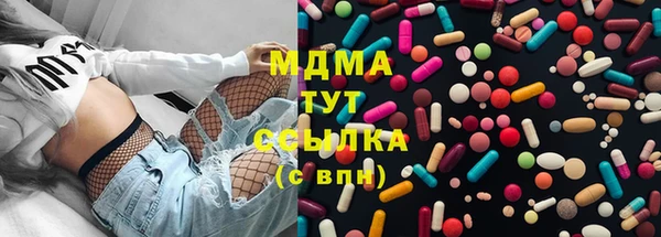 apvp Алзамай