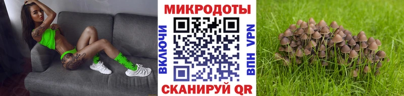 Галлюциногенные грибы мухоморы дарнет шоп Байкальск